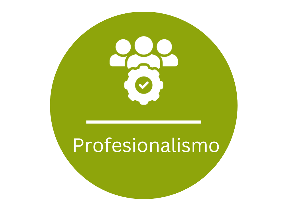 Profesionalismo